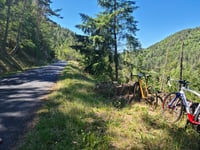Vermoyal von Vorey