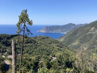 Vernazza