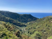 Vernazza