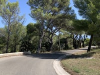 Vernègues von Alleins