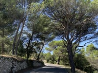 Vernègues von Alleins