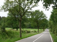 Vervierfontaine da Jehanster