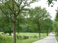 Vervierfontaine von Polleur