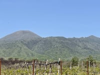 Vesuvio von Torre del Greco
