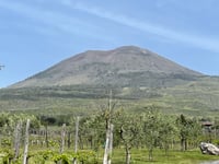Vesuvio von Torre del Greco