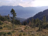 Passo del Vetriolo z Levico Terme przez Passo del Compet