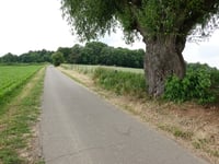 Vetschauer Berg da Grünenthal