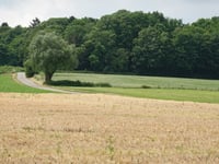 Vetschauer Berg da Grünenthal