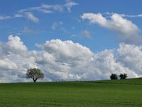 Vetschauer Berg da Grünenthal