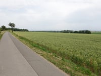 Vetschauer Berg von Laurensberg