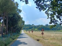 Via Borsano von San Lorenzo in Noceto