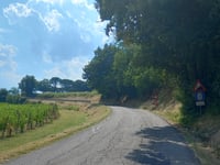 Via Borsano von San Lorenzo in Noceto