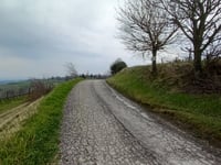 Pideura von Faenza