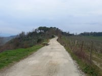 Pideura von Faenza