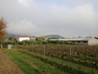 Castellaro da Castegnero