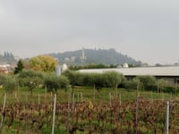 Castellaro da Castegnero