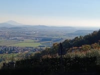 Castellaro da Castegnero