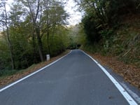 Via Castelvecchio von Bergalla