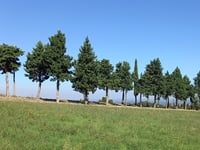 Via Cavaliera über Via Le Selve