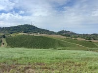Via Cerbiano from Panighina