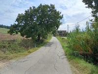 Via Cerbiano from Panighina