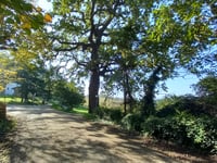 Via Cornacchia von Castel Bolognese