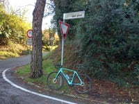 Via del Monte über Viale dei Pini