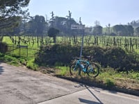 Via delle Caminate par Via Violina