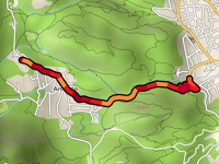 Via Enrico Pestalozzi von Losone