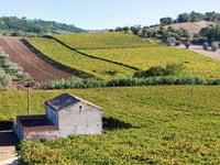 Via Fonte Fico