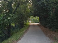 Via Forestana über Via Sassoni