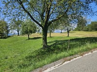 Via Monte Rosa da Armeno