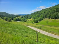 Via Monte Rosa da Armeno