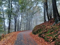 Via Monte Rosa from Armeno