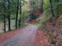Via Monte Rosa da Armeno