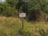 Via Montenero