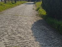 Via San Silvestro über Via Melia