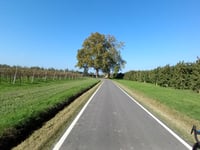 Via Serra von Castel Bolognese