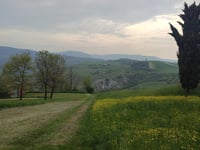Via Vandelli von Torre Maina