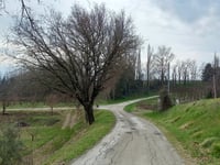 Via Vernelli
