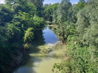 Vialarda von Pontestura
