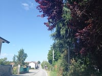 Vialarda von Villa Sordi