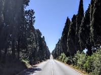 Viale dei Cipressi / Bolgheri von San Guido