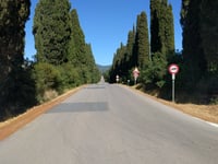 Viale dei Cipressi / Bolgheri von San Guido