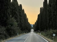 Viale dei Cipressi / Bolgheri von San Guido