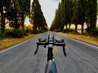 Viale dei Cipressi / Bolgheri von San Guido
