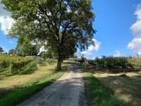 Viale Polenta via Via Gualdo