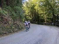 Viasco desde Comegna