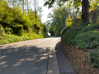 Vidaigneberg