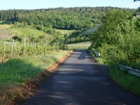Viehbach von Kröv